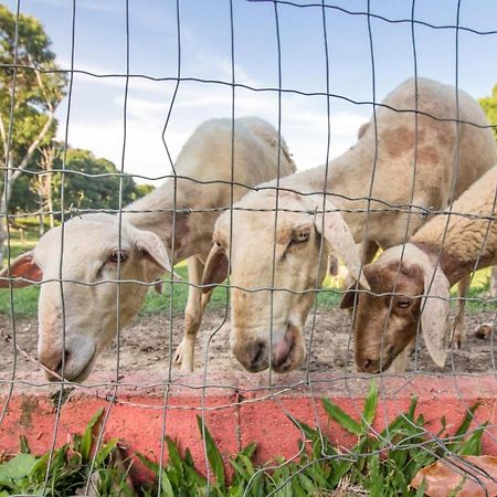 Hotel Fazenda Canto Da Serra Jaconé Zewnętrze zdjęcie