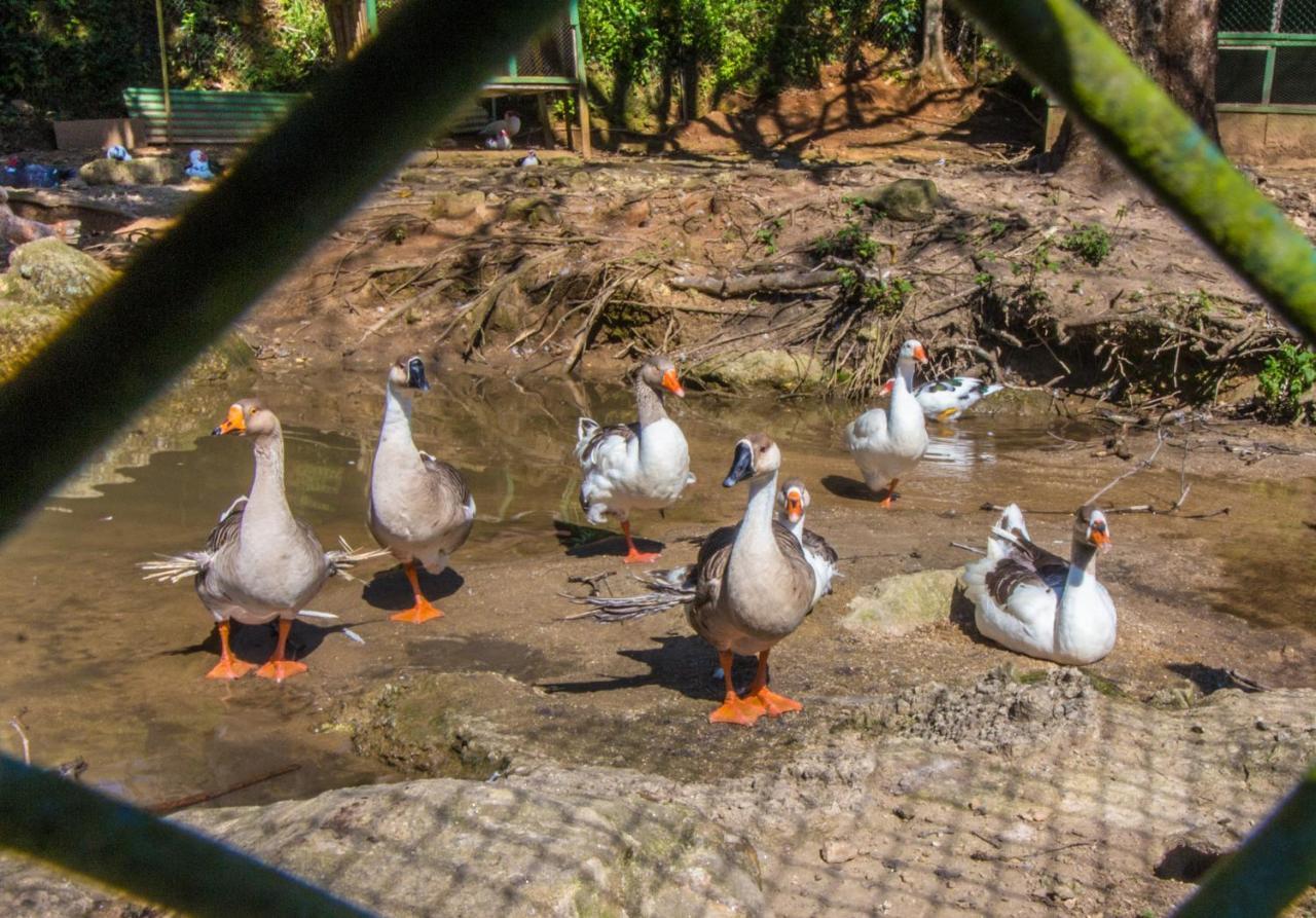 Hotel Fazenda Canto Da Serra Jaconé Zewnętrze zdjęcie