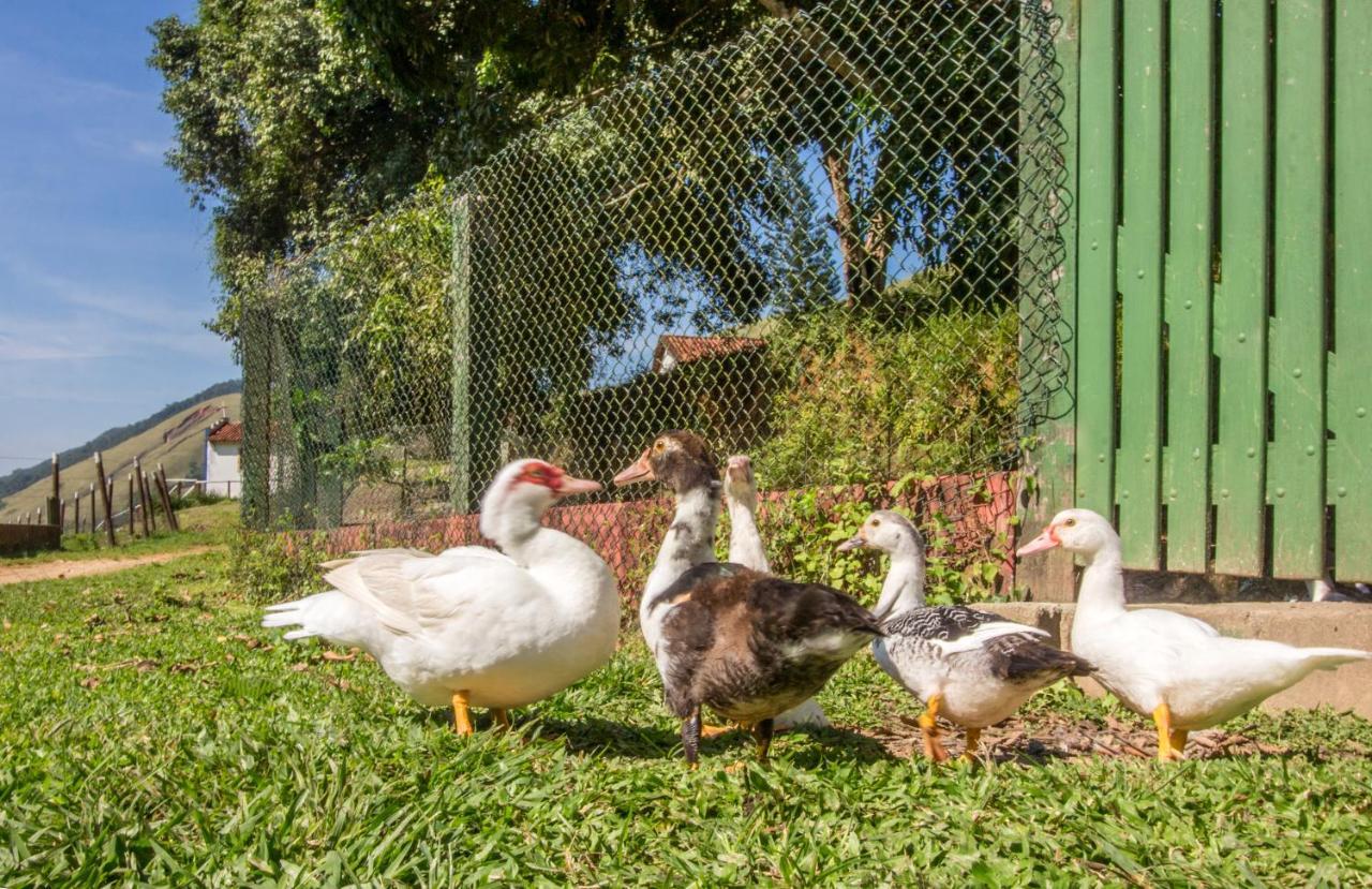 Hotel Fazenda Canto Da Serra Jaconé Zewnętrze zdjęcie