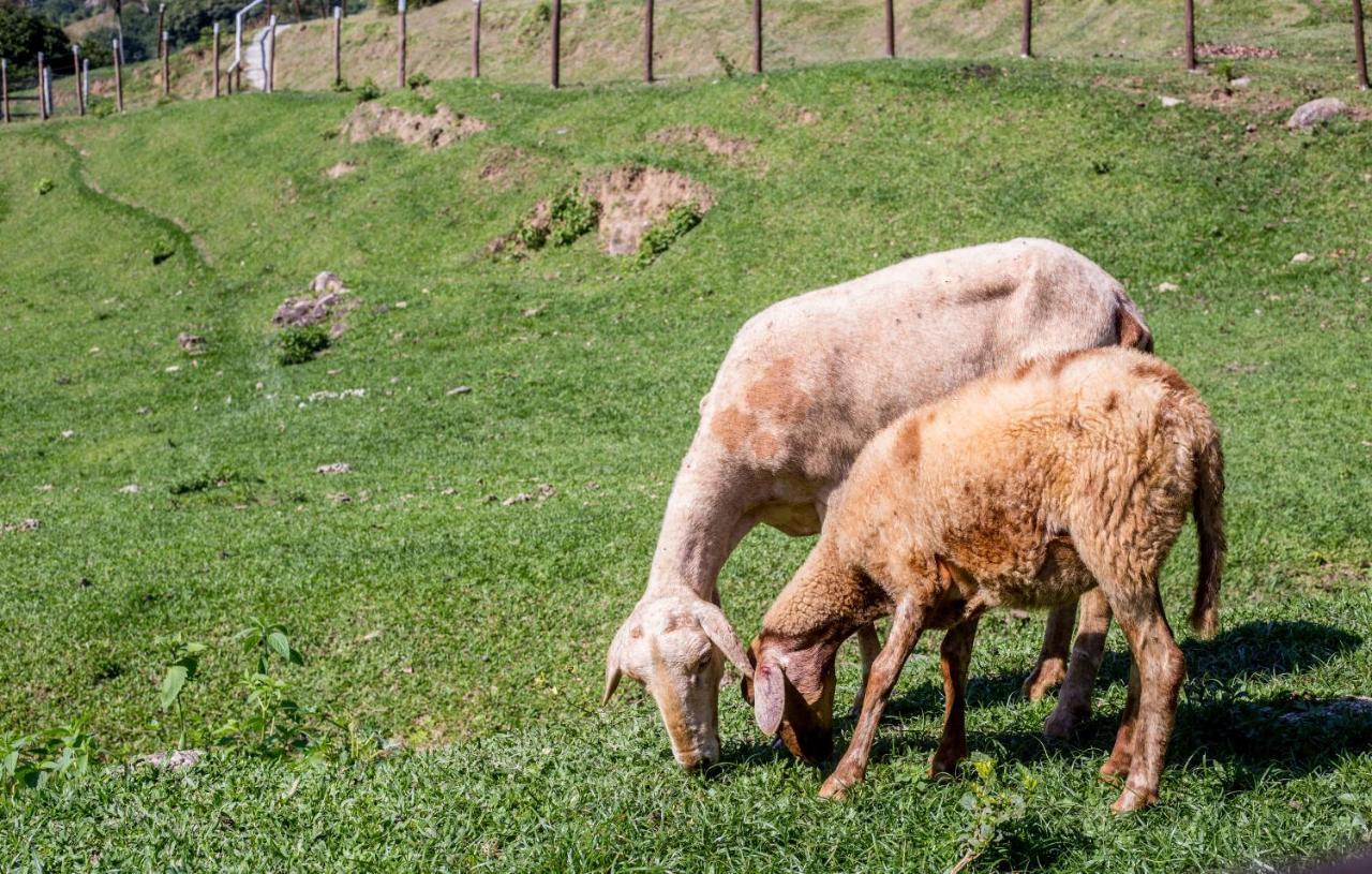 Hotel Fazenda Canto Da Serra Jaconé Zewnętrze zdjęcie