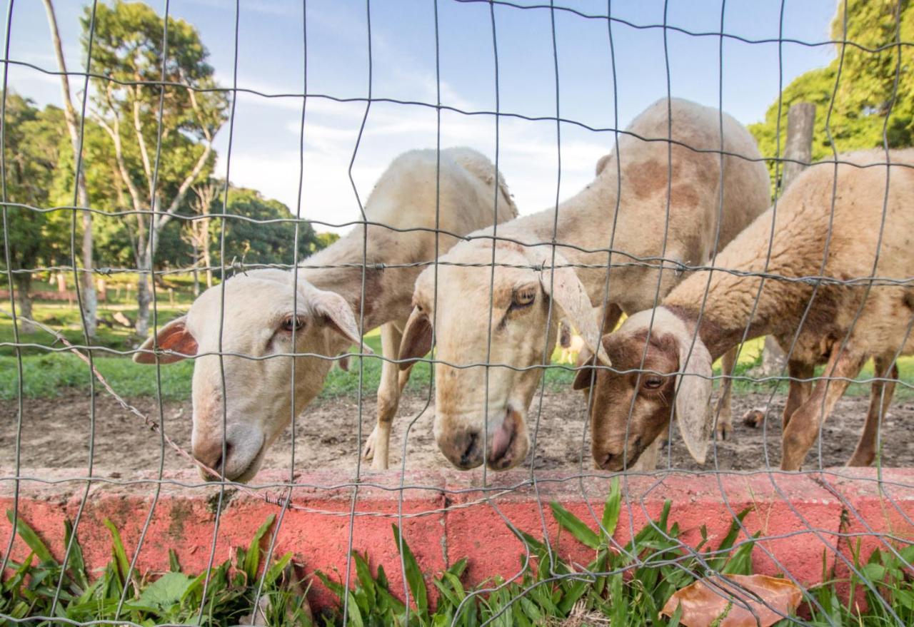 Hotel Fazenda Canto Da Serra Jaconé Zewnętrze zdjęcie